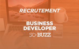 Business developer commercial