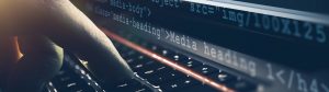 Stage Web Developer